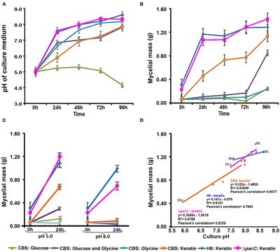 Relevance of Nutrient-Sensing in the Pathogenesis of Trichophyton rubrum and Trichophyton interdigitale